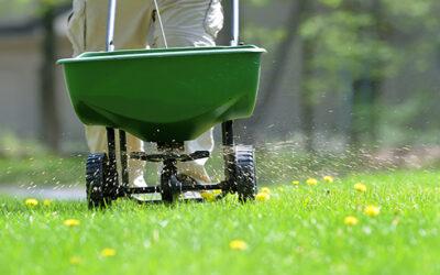 How and When to Fertilize Your Lawn This Fall