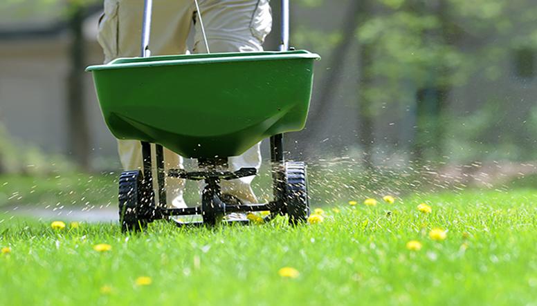 How and When to Fertilize Your Lawn This Fall