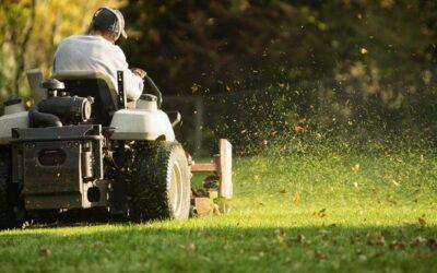 Lawn Care Services Minneapolis: How To Find The Best Services