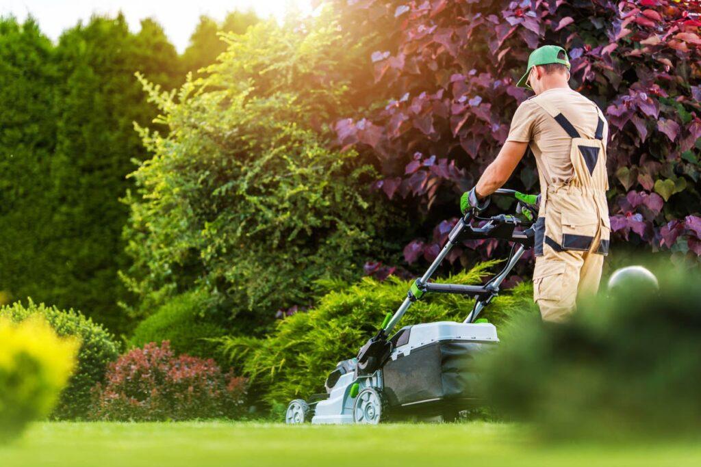 one-time lawn mowing