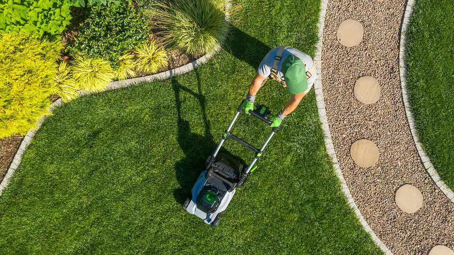 one-time lawn mowing
