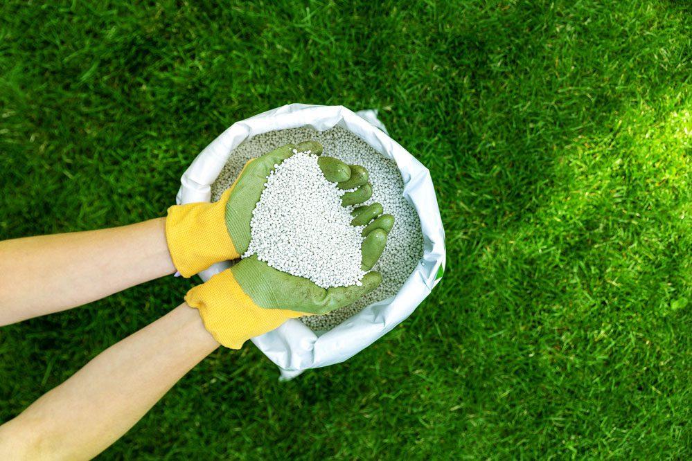 fertilize your lawn