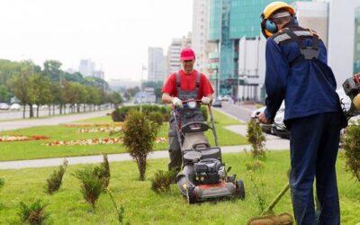 Where To Find One-Time Lawn Mowing Services In Minneapolis