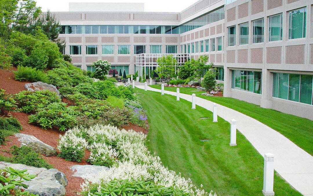 The Basics of Successful Commercial Landscaping