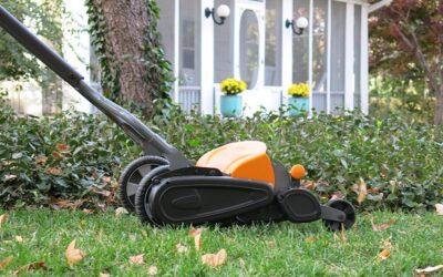 How to Take Care of Your Lawn in the Winter