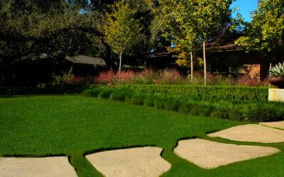 The Definitive Landscaping Minnesota Guide to Growing Greener Grass