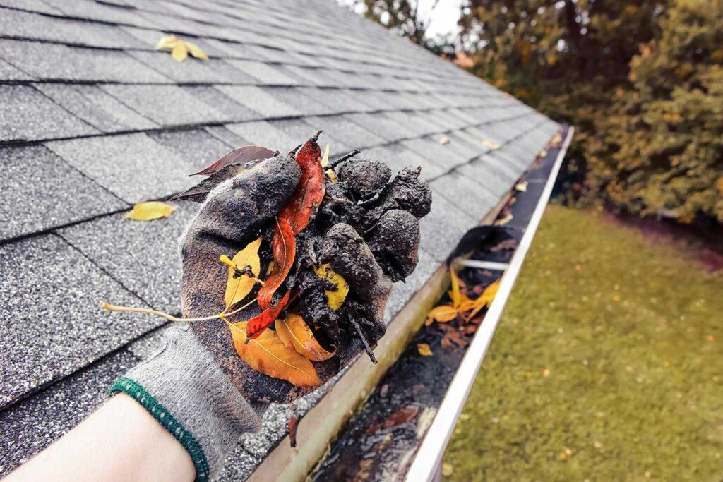 gutter cleaning