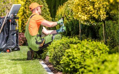 The Difference Between Minnesota Landscaping and Lawn Care