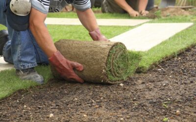 9 Landscaping Tips for Beginners in Minneapolis, MN