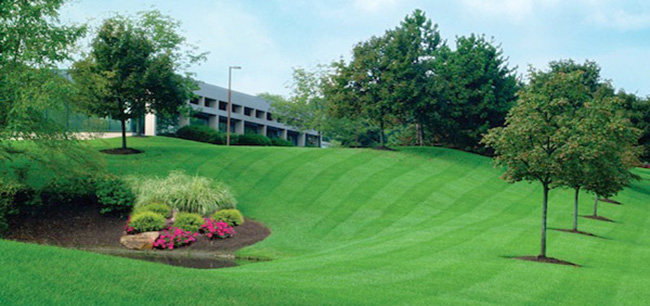 Save Time & Money With Edina Commercial Landscaping Services