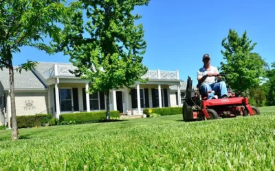 Edina Lawn Care Service: 4 Reasons to Hire a Professional