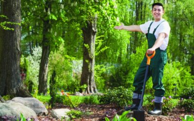 7 Ways To Know You Hired The Right Landscaping Company In Edina, MN