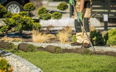 What to Expect from your Edina MN Landscaping Company in the Spring?