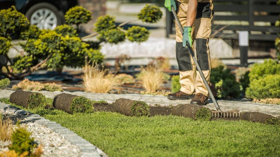 What to Expect from your Edina MN Landscaping Company in the Spring?