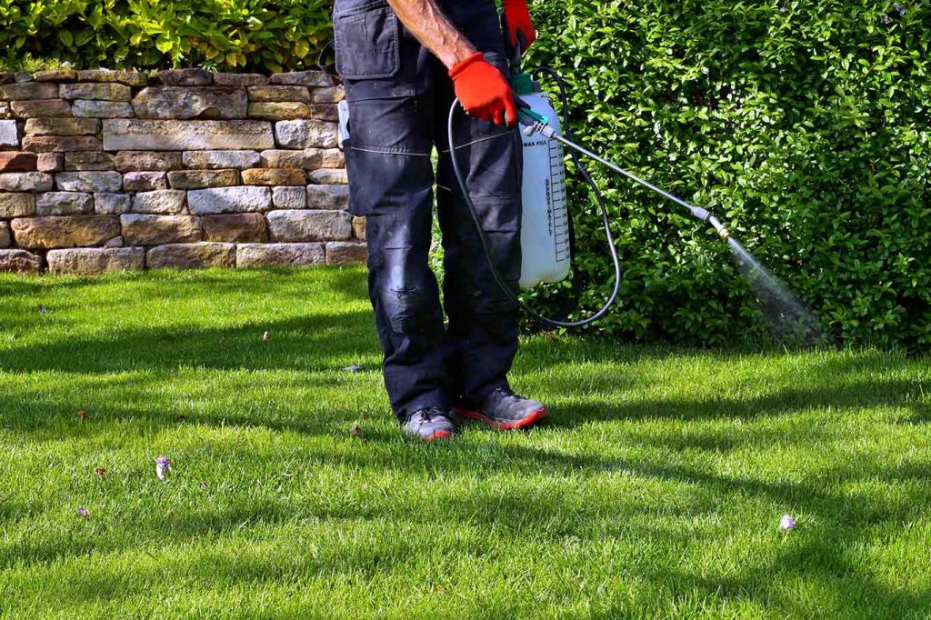 edina lawn care service