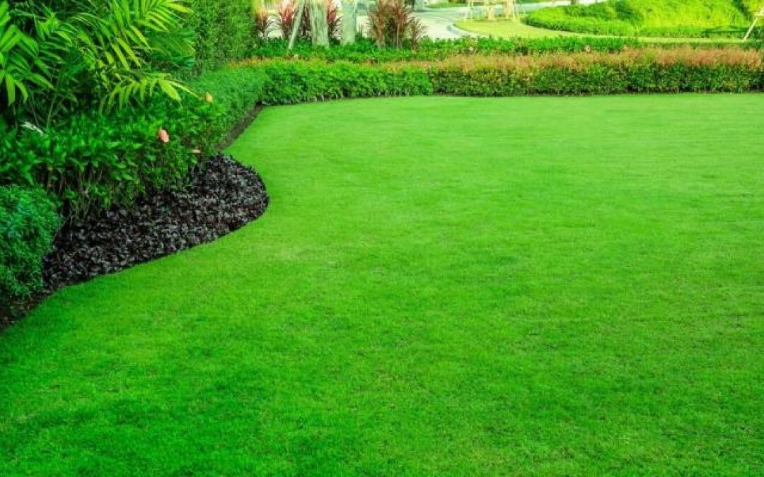 How do I prepare my lawn for spring and summer?