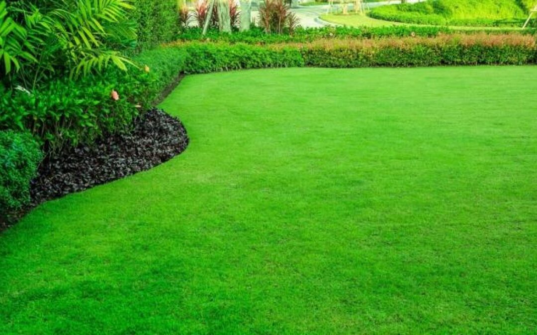 How Do I Prepare My Lawn For Spring And Summer 