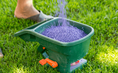 How To Choose The Right Lawn Fertilizer For Summer