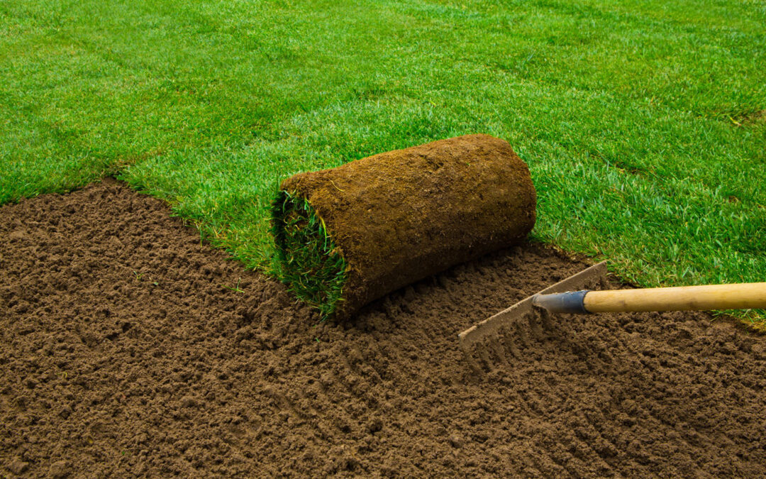 Sod Installation & Care: DIY Vs Professional Landscaping Services