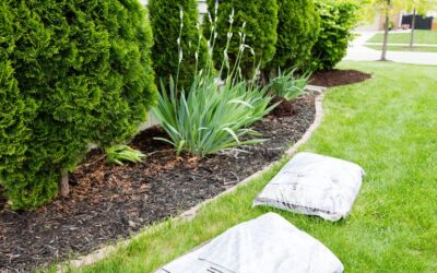 Long Term Cost Benefits of Mulching Garden Beds Annually