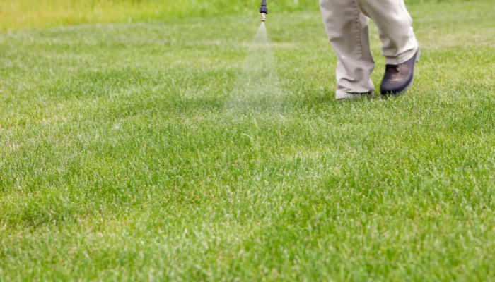 7 Steps To Revitalize Your Lawn In Minnesota