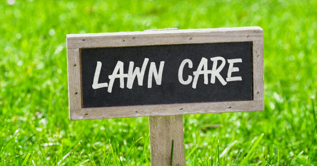 Lawn Care Minnesota: How to Maintain Your Lawn