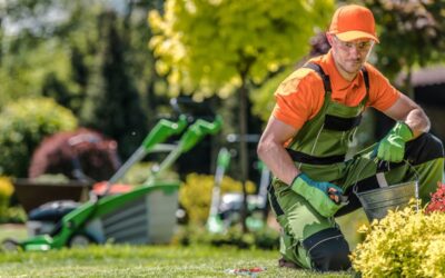 Are You Ready for Stunning Results with a Lawn Care Service Team in Eden Prairie and Edina MN Areas?