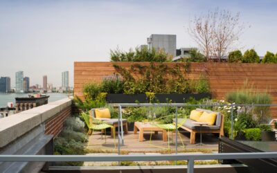5 Myths About Urban Landscaping in Minneapolis, MN
