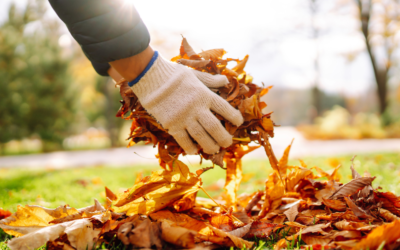 4 Benefits of Hiring Help for Your Fall Clean-Up