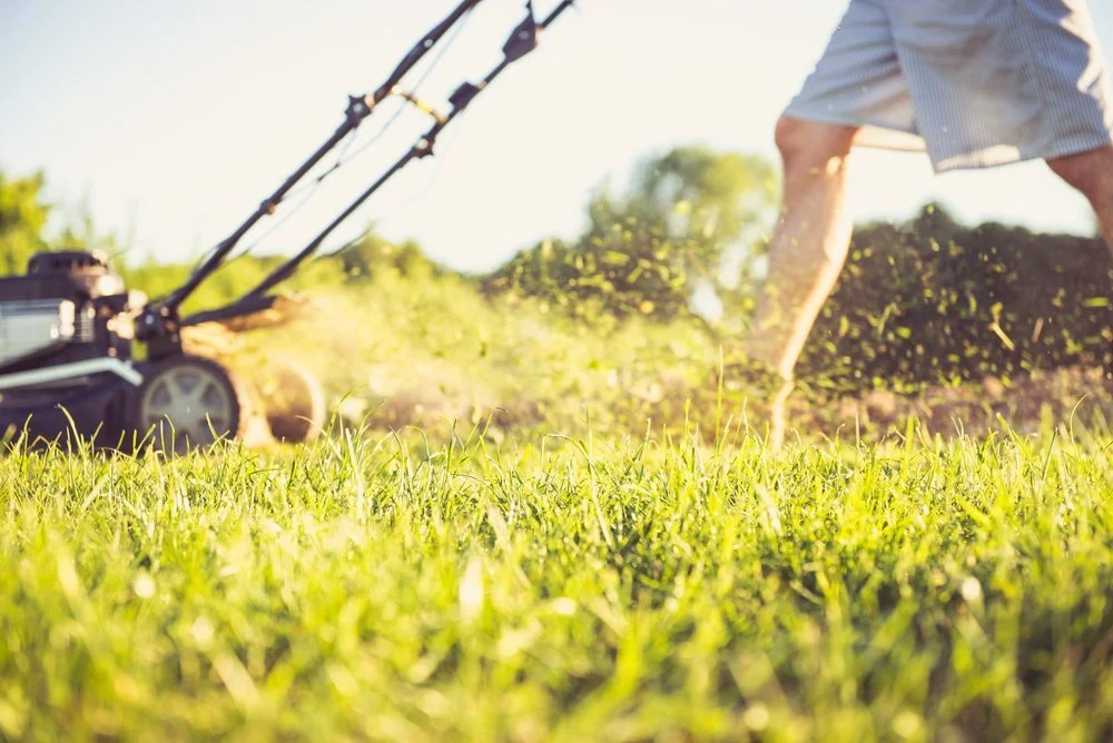 summer lawn care