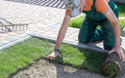 The Ultimate Guide To Re Sodding Your Lawn