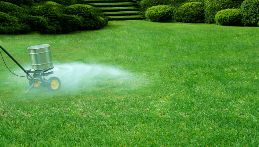 fertilizing your lawn