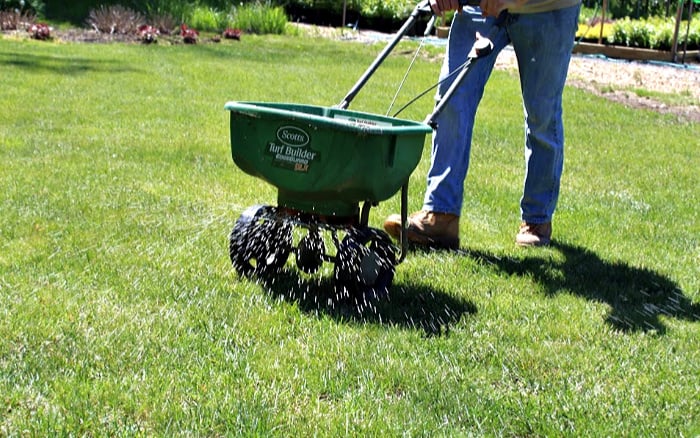 fertilizing your lawn