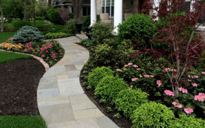 How Does Professional Landscape Design Affect Property Market Value In Minnesota