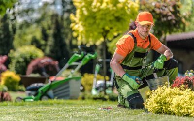 Reasons To Hire A Professional Landscaper In Minneapolis