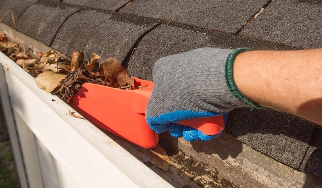 DIY Gutter Cleaning VS Hiring A Professional