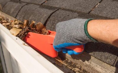 DIY Gutter Cleaning VS Hiring A Professional