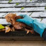 gutters need to be cleaned