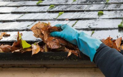 Do Gutters Need to Be cleaned?