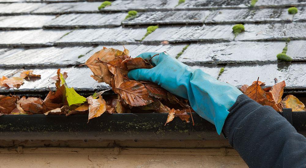 gutters need to be cleaned