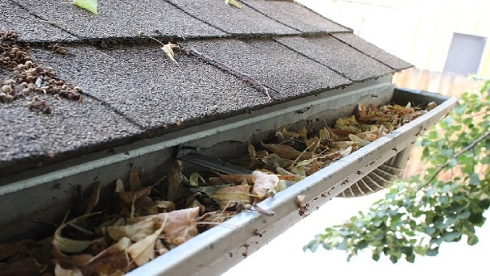 gutters need to be cleaned