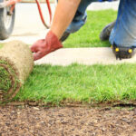 sod installation