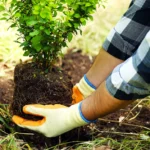 Differences Between A Landscaper And A Gardener