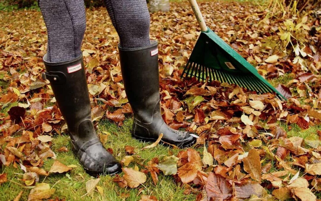 garden ready for winter