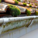 gutter cleaning