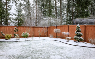 How to Maintain Your Garden in Minnesota’s Winter