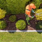 commercial garden maintenance