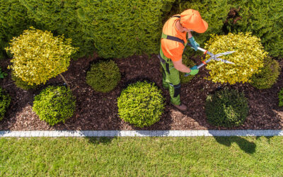 Commercial Garden Maintenance in Minnesota