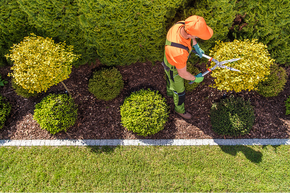 commercial garden maintenance