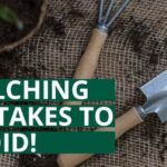 mulching mistakes